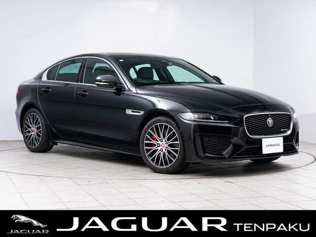 JAGUAR