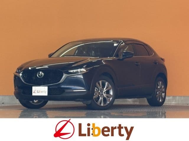Car image 1
