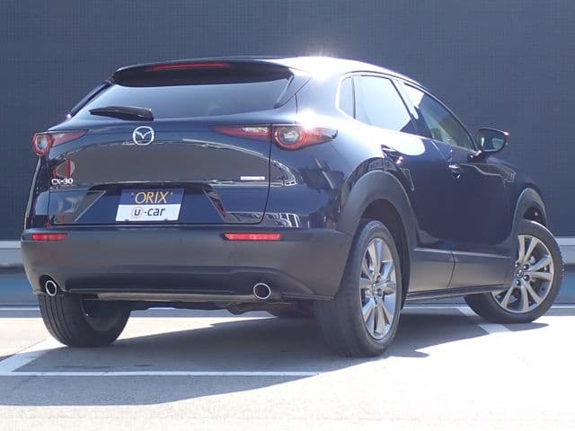 Car thumbnail 3