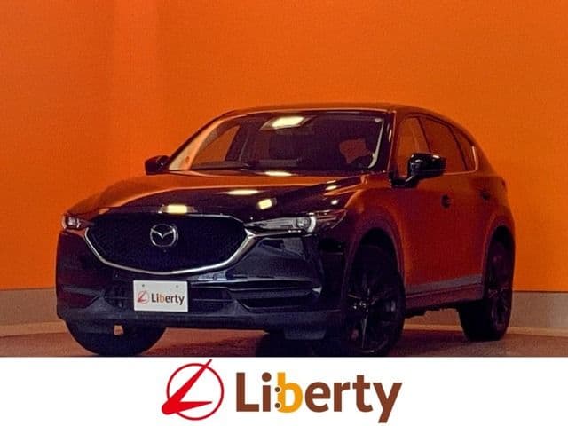 Car image 1