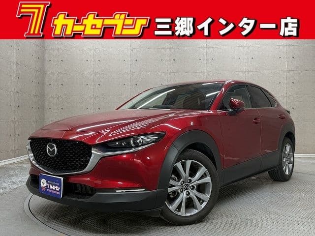 Car image 1