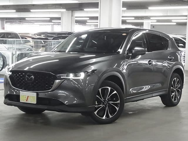 Car image 1