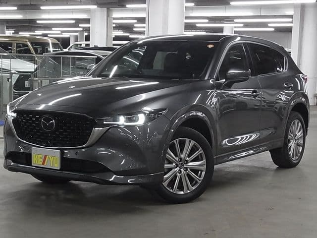 Car image 1