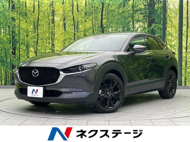 Car image 1