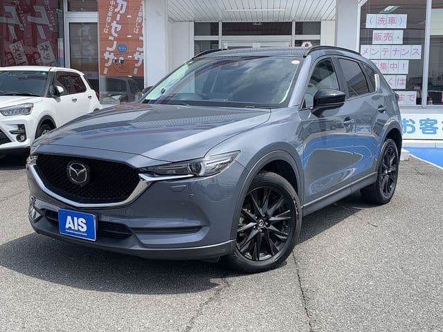 Car image 1