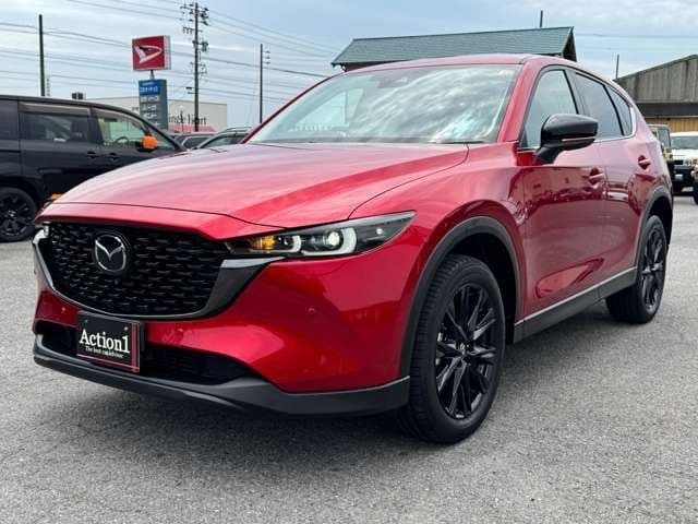 Car image 1