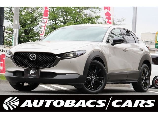 Car image 1