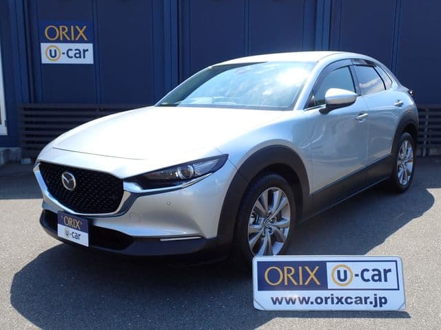 Car image 1