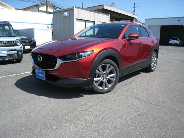 Car image 1