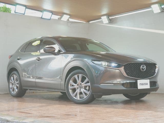 Car image 1