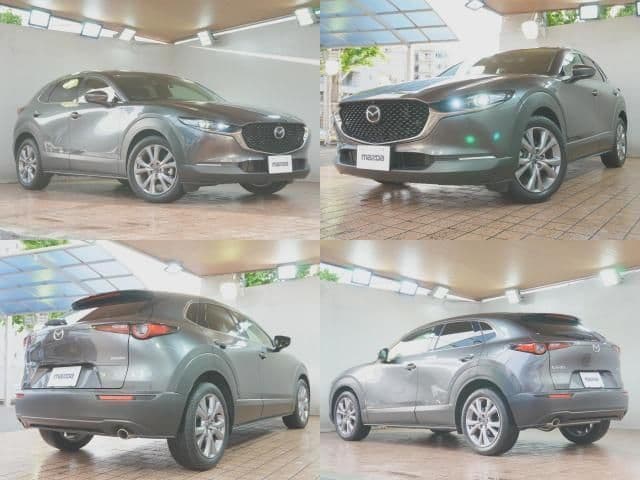 Car thumbnail 3