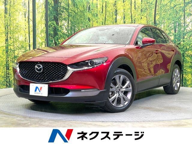 Car image 1