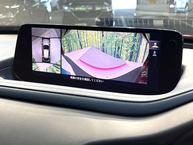 Car thumbnail 4