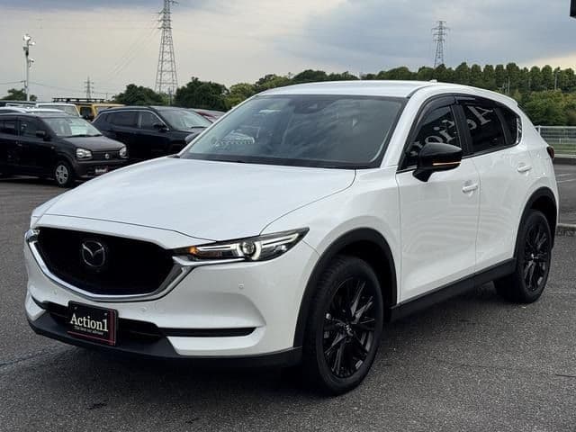 Car image 1
