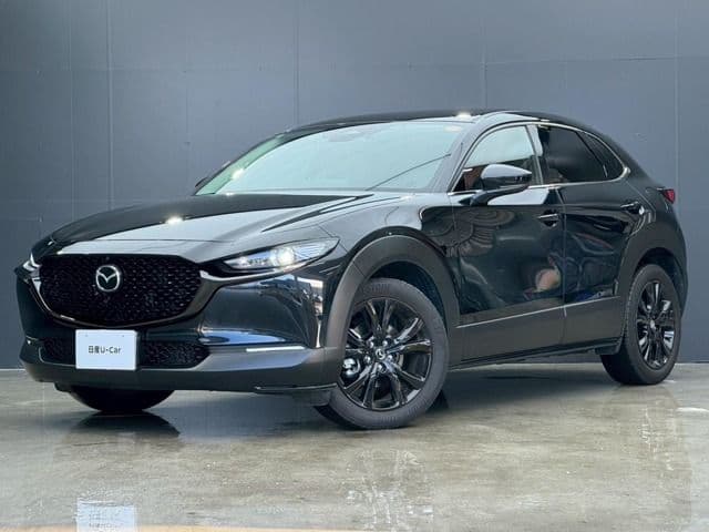 Car image 1