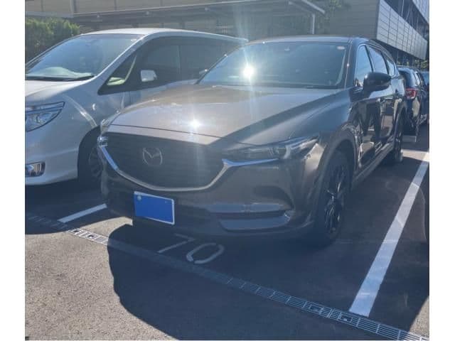 Car image 1