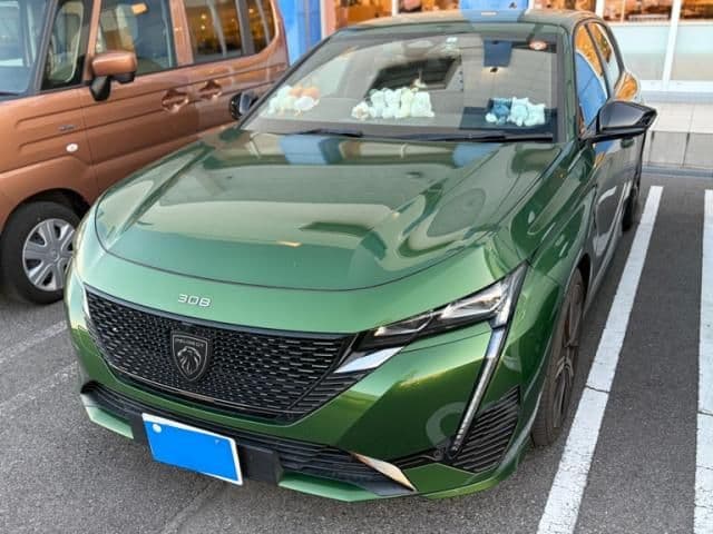PEUGEOT