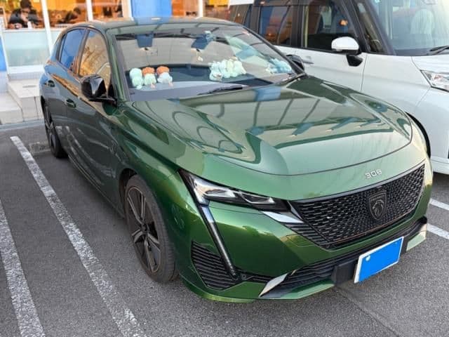 Car thumbnail 2