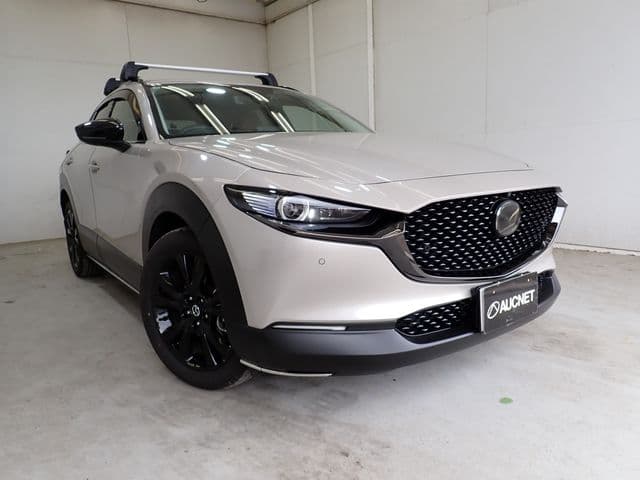 Car image 1