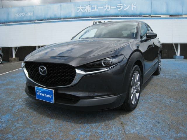 Car image 1