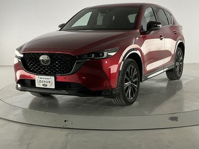 Car image 1