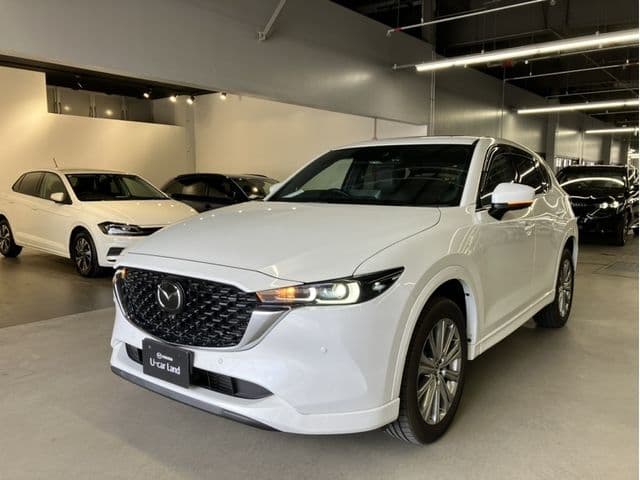 Car image 1