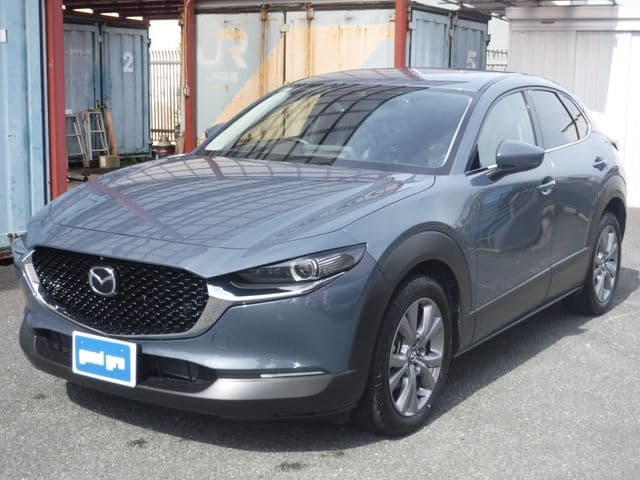 Car image 1