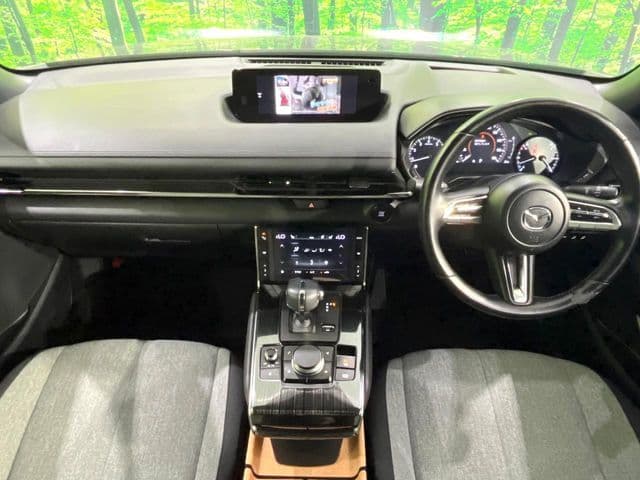 Car thumbnail 2