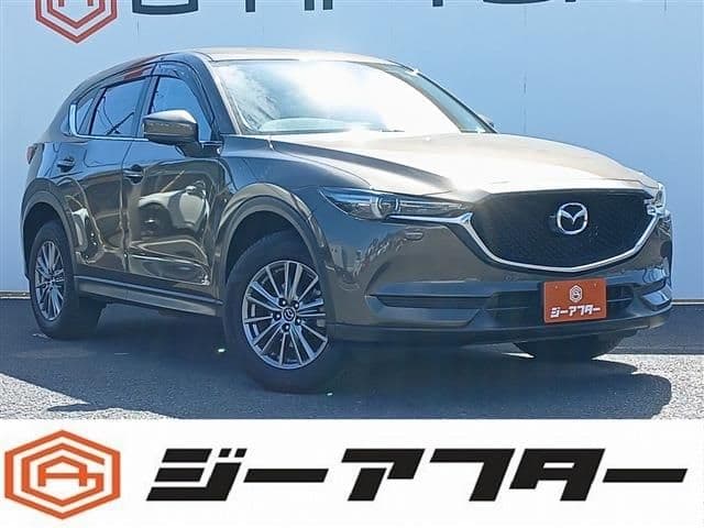 Car image 1
