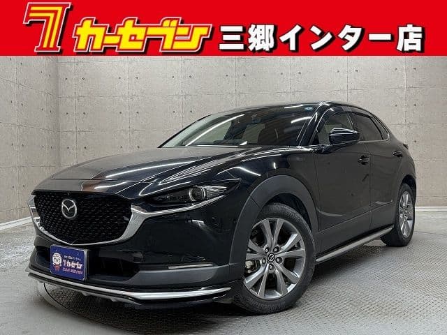 Car image 1