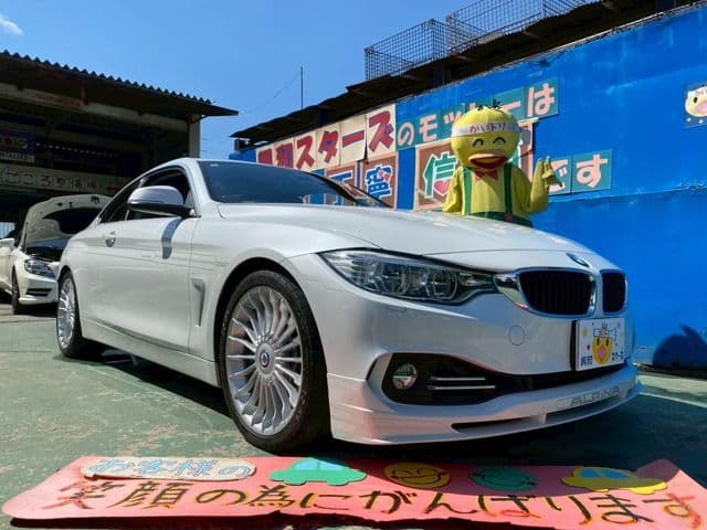 ALPINA