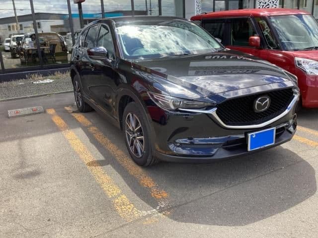 Car image 1