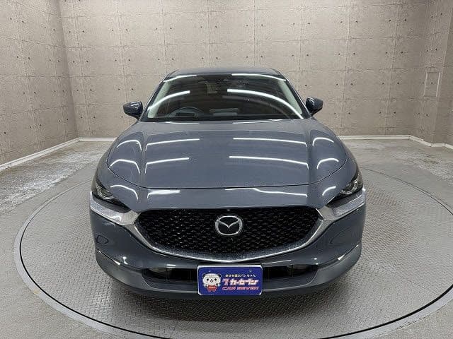 Car thumbnail 4