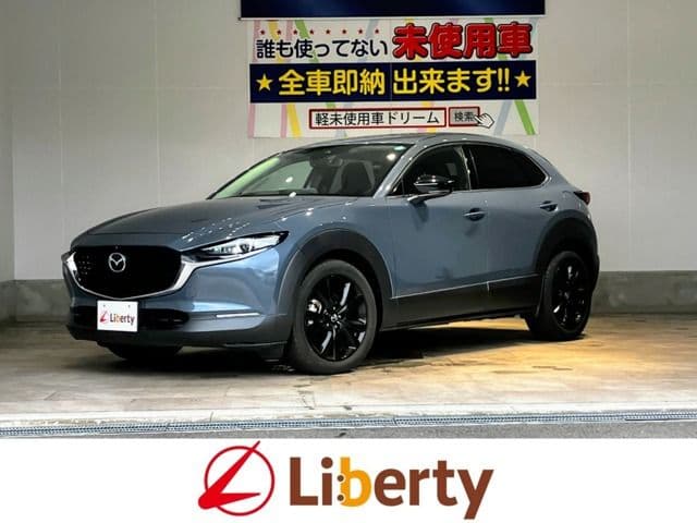 Car image 1