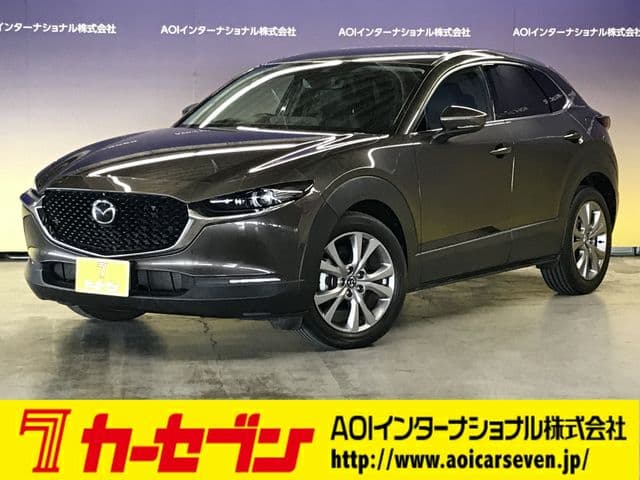Car image 1