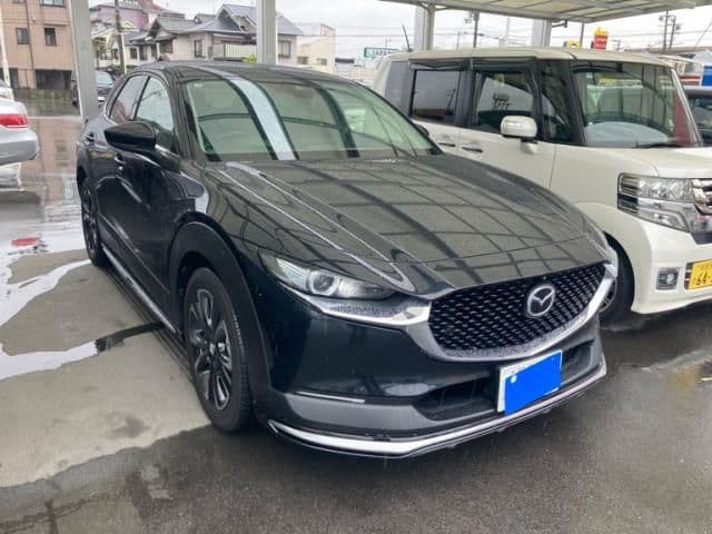 Car image 1