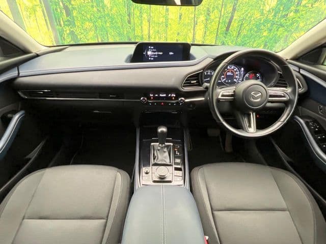 Car thumbnail 2