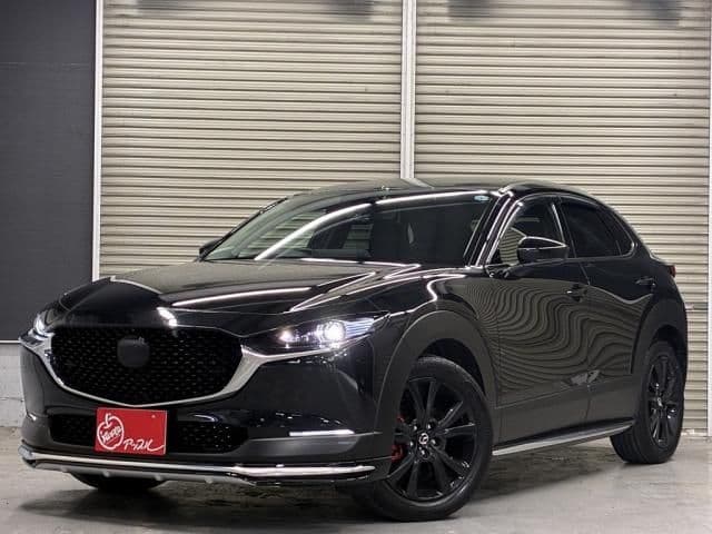 Car image 1