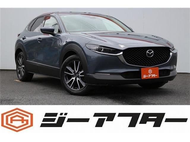 Car image 1