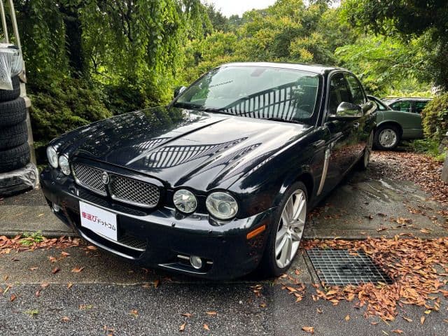 JAGUAR