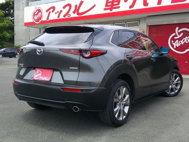 Car thumbnail 3