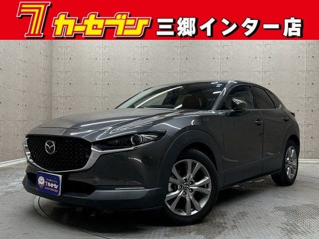 Car image 1