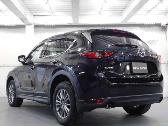 Car thumbnail 2