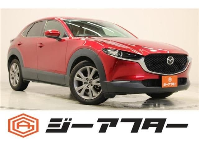 Car image 1