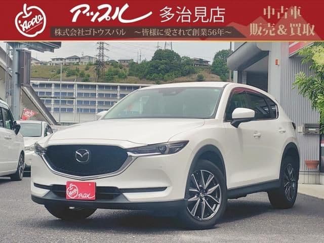 Car image 1