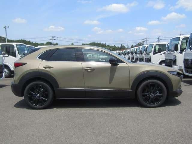 Car thumbnail 4