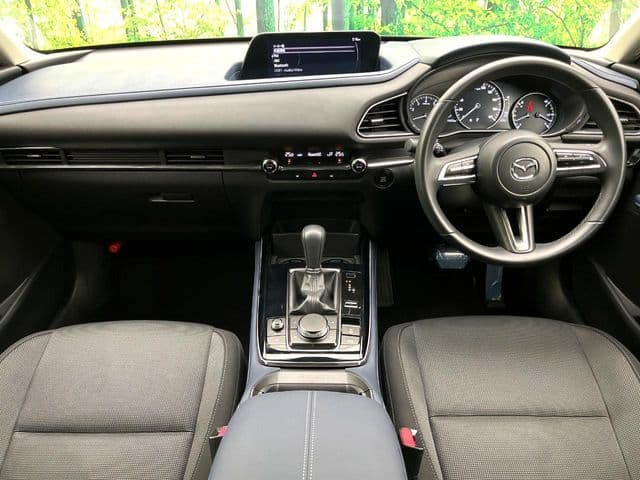 Car thumbnail 2