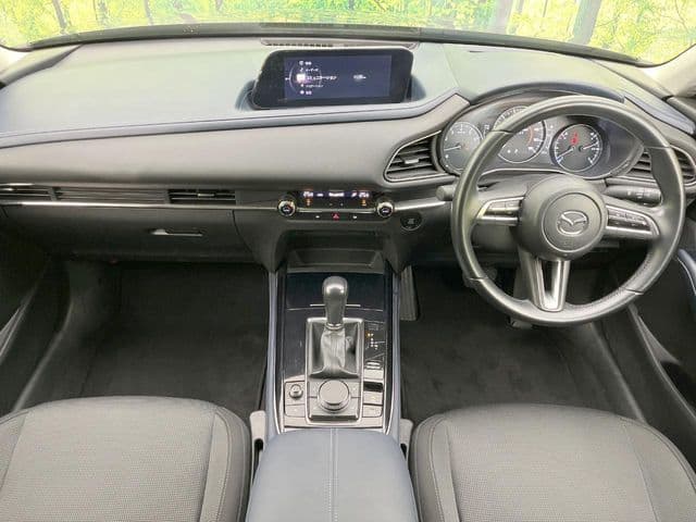 Car thumbnail 2