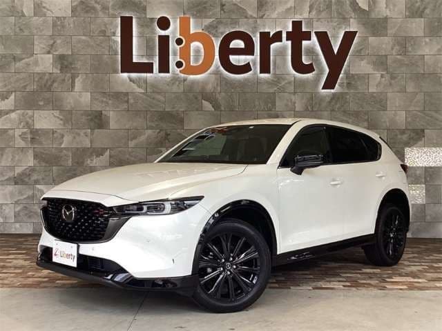 Car image 1