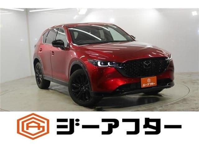 Car image 1